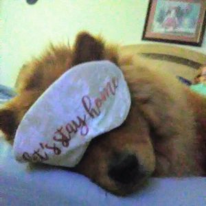 Meet your Posher, Linda